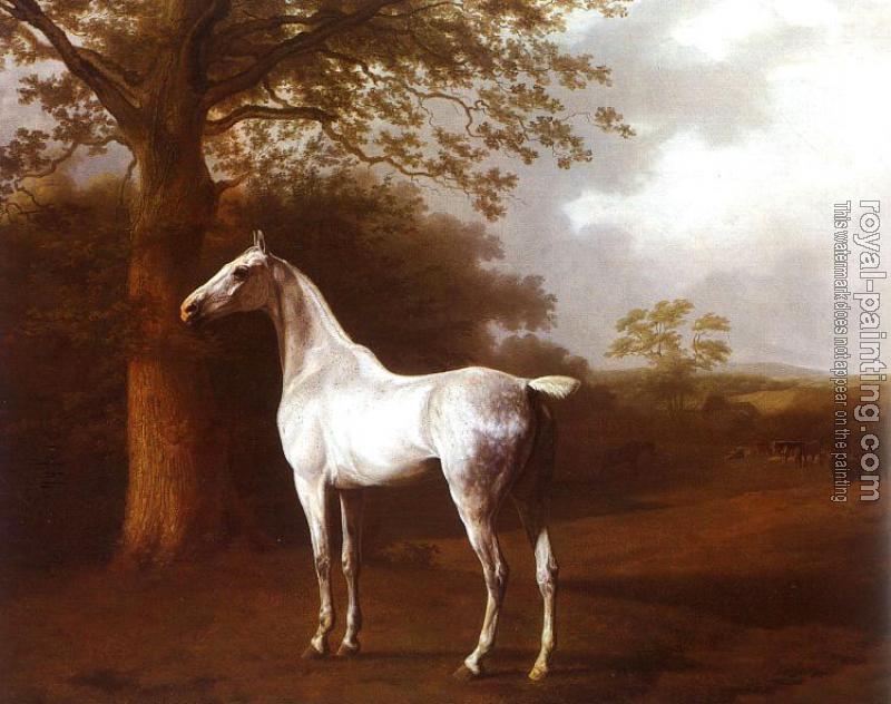 Jacques-Laurent Agasse : White Horse in Pasture